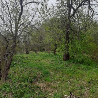 Объявление Дом, 72м2, 1 эт, 27 сот.