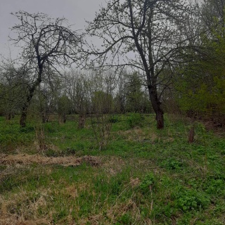 Объявление Дом, 72м2, 1 эт, 27 сот.